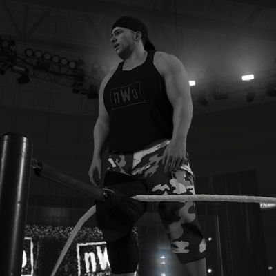 DavidMi59900993's profile picture. WWE 2k25 Bloppers and WTF moments
Madden 25
Battletech 
Warhammer 40k 
Louisville Leopard 🐆