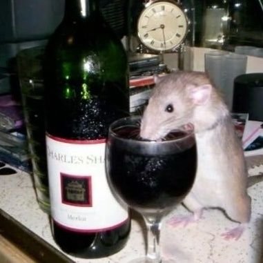 darkparadwse's profile picture. hope is a dangerous thing for a woman like me to have, but i have it. ☆ vampire goth ☆