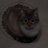 fh_ifff's profile image