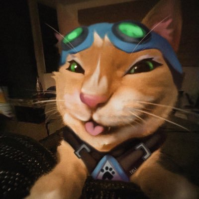 RealJetpackCat's profile picture. meow meow meow? meow