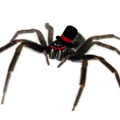 CloverUty66692's profile picture. 