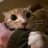 kym5700's profile image