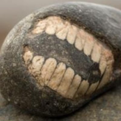 Cal (citizen, not subject) 🏳️‍🌈🏳️‍⚧️