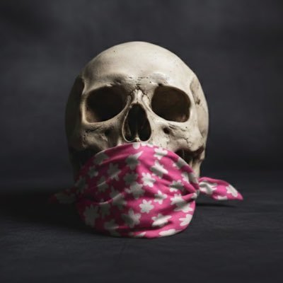 doodle2691's profile picture. Artist