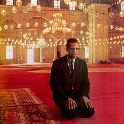 NPC444lol's profile picture. I Say What We’re All Thinking • Retweet & Follow 👽