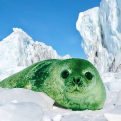 Leptonychotes's profile picture. 