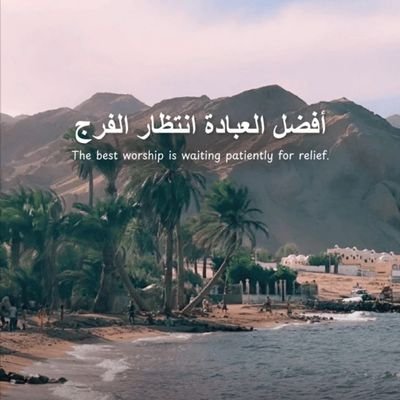 rollinnolan91's profile picture. 