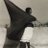 Shinobu_takeru's profile image