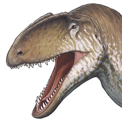 Neovenator!!!!!!!!!!!!!!!!!