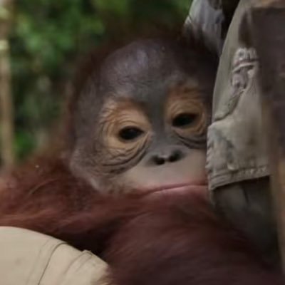 taeminluvr7's profile picture. 