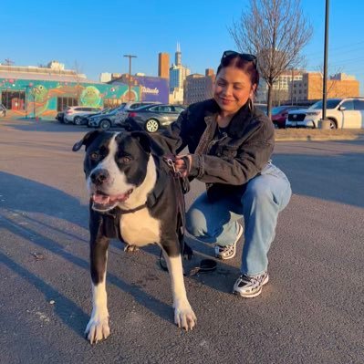 everythinglidi's profile picture. 