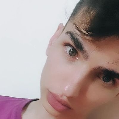 soltan.sepehr