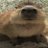 wasd_my's profile image