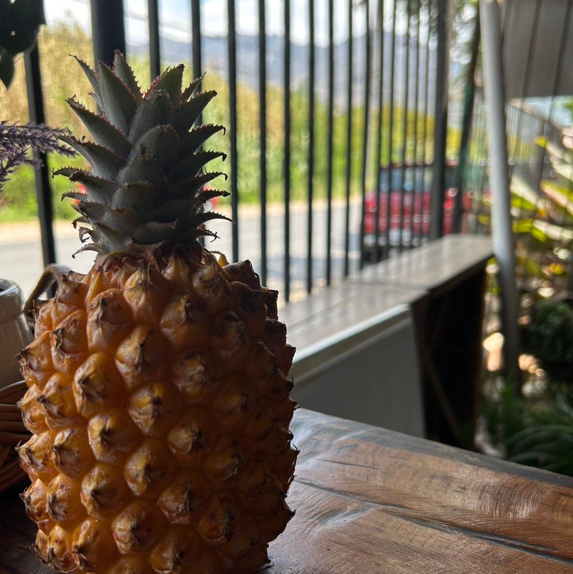 Dimefran6's profile picture. 