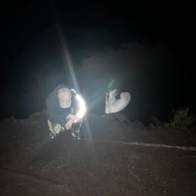 2manycolours_'s profile picture. ⌰