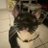 mis4ntropi4's profile image
