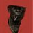 MICHAELEGOLET's profile image