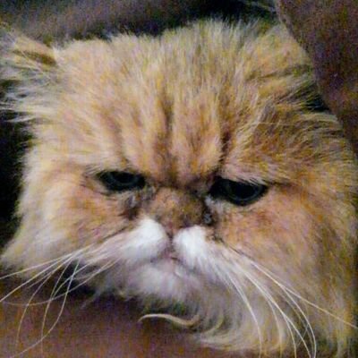 たぼ(いか焼き食べた)