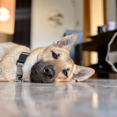 paqui199's profile picture. viviendo la vida que son dos días y uno fue ayer