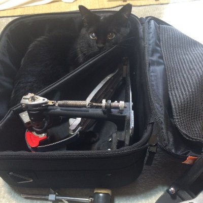 gottarythm's profile picture. drummer　
いろいろなところで叩いてます
ビタミンとマグネシウム不足を日々どう補うか考える 
レトルトカレー約160食完食 
人生は上々