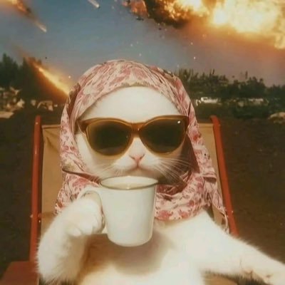 SoLA_LB's profile picture. Shilling and Marketing Crypto