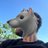 Cilcibik's profile image