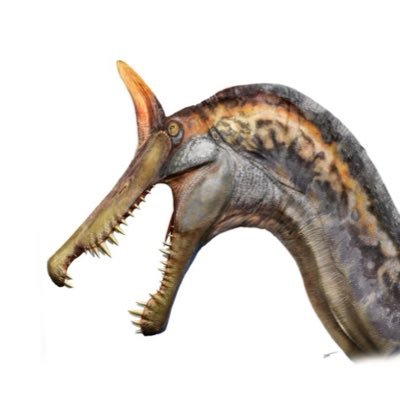 newspinosaurus's profile picture. 