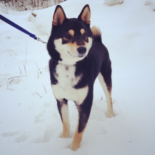 kouya_sato's profile picture. 「ワクワクをカタチに」