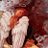 S1ckslzt's profile image