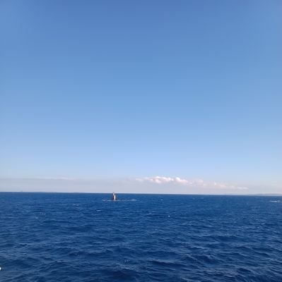 brnidy50230's profile picture. #avax #coin #eth #penguen #btc #ltc #buy&sell