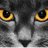 vivirsf_vivi's profile image