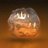 shahzadmanc's profile image