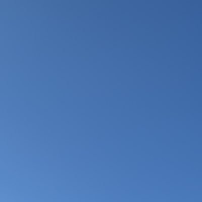 dsdsibbr's profile picture. 