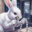 Ei5kjoJIAK25107's profile image