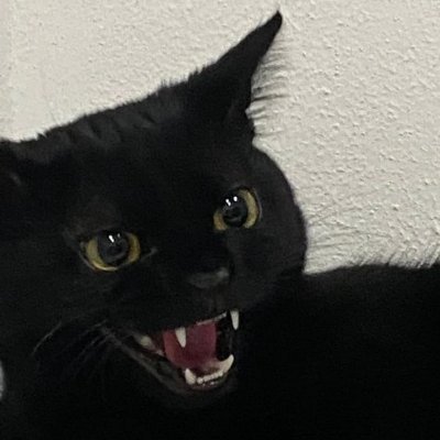 RutexG's profile picture. M, 25. Looking here for some hot content and interesting people 👀 
Straight only. No🏳️‍⚧️ 🏳️‍🌈, no 💸,  18+. GMT +1.
Soft and hard kinks are welcome ;)