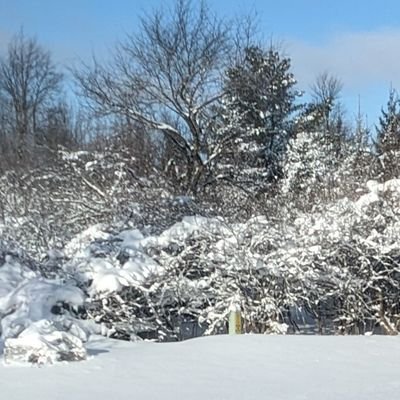 beentheredonethat 🇺🇲