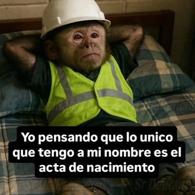 Federico Morquecho F.