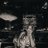 adita_roman's profile image