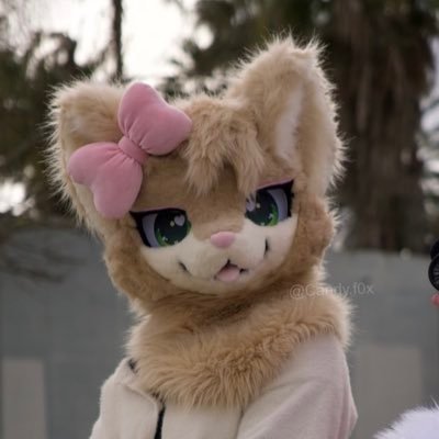 candyyfox's profile picture. — ꒰ 𝘚𝘪𝘭𝘭𝘺 𝘭𝘪𝘵𝘵𝘭𝘦 𝘧𝘰𝘹 ! ꒱🦊🐾 ࣪𐙚 23 🇵🇹 | Fursuit | VRchat