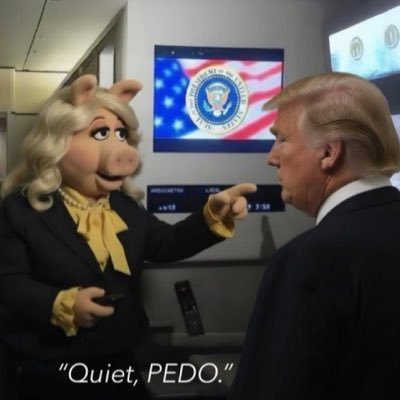 📣 Quiet Piggy 📣