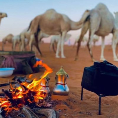 أكتب آرائي هنا ..والتي تمثلني أنا فقط .. وخيبات الاحبه لاتنسي .