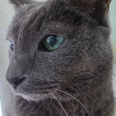 1of1GRRRL's profile picture. .࣪ ִֶָ☾☁︎𔓘ִֶָ༘𓂃 ࣪˖ ִֶָ🐇་༘࿐♡ ༘. ⤷blinger jjinggu petal cloud shinee super junior ⋮ from 2010 to forever 나 호모사피엔𓂃✍︎