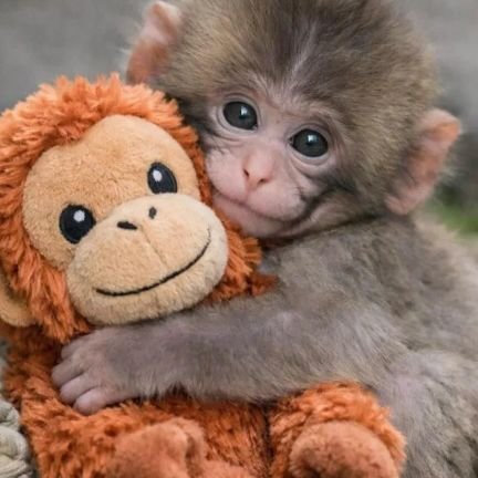 Tigretta62's profile picture. 