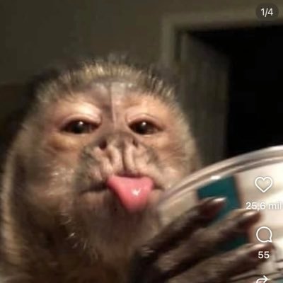 aaanshii's profile picture. now or never 🧉