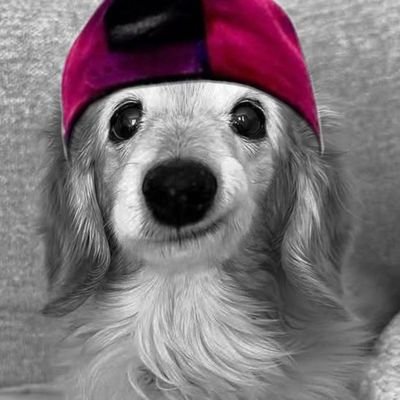 strach_0ff's profile picture. ⭒¡ ela/dela (she/her) ¡ | ㅤㅤㅤㅤㅤㅤㅤ
       “... maybe somewhere out there even the 𝕯𝖊𝖛𝖎𝖑 𝖒𝖆𝖞 𝖈𝖗𝖞 when he loses a loved one.” ⭒—— multifandom