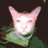 ijopudar's profile image