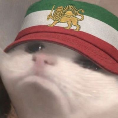 🇮🇱🇺🇸نخیر🇮🇷