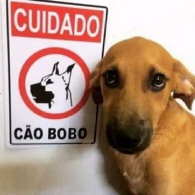 _guust4's profile picture. endoidei