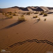 bpm0909's profile picture. 坐看云起時