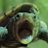 Samazra_'s profile image